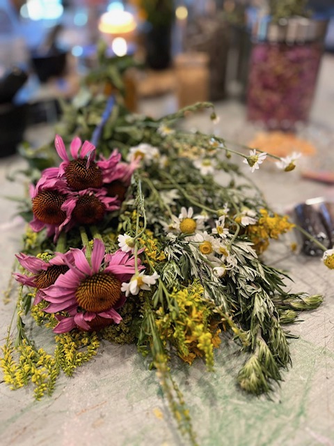 Individuelle Kräuterbegleitung