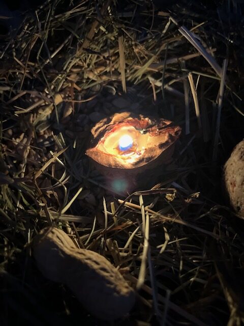 Heilige Mutternächte