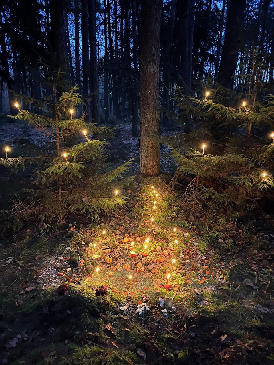 Waldweihnachtsritual